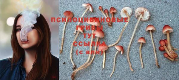 спиды Абинск