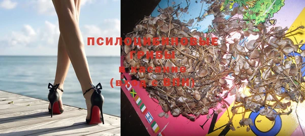 спиды Абинск