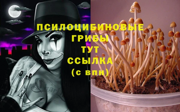 метадон Абаза