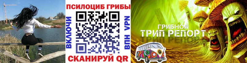 Галлюциногенные грибы GOLDEN TEACHER  Красково 